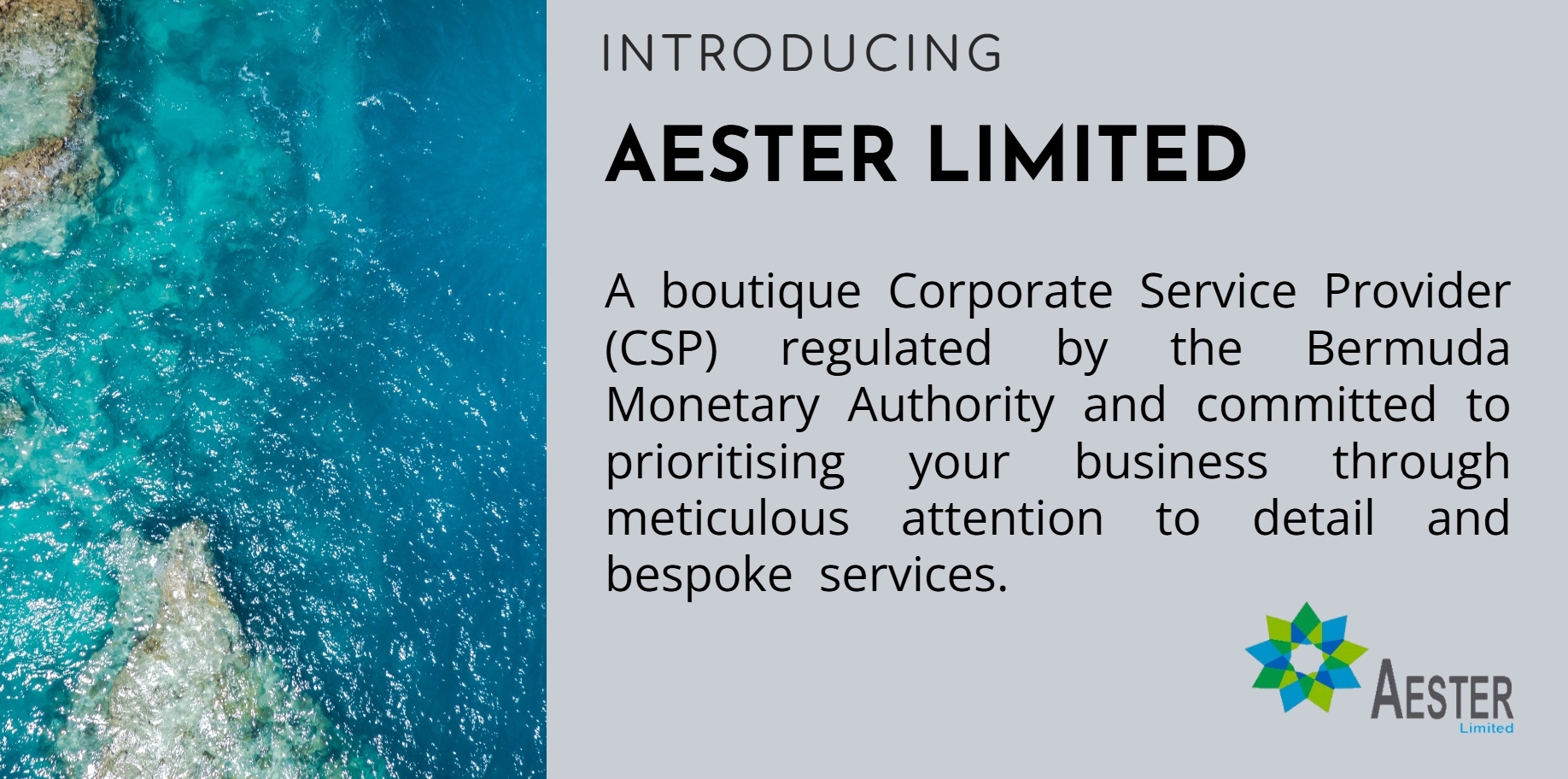 2025_AesterGeneralWebBanner